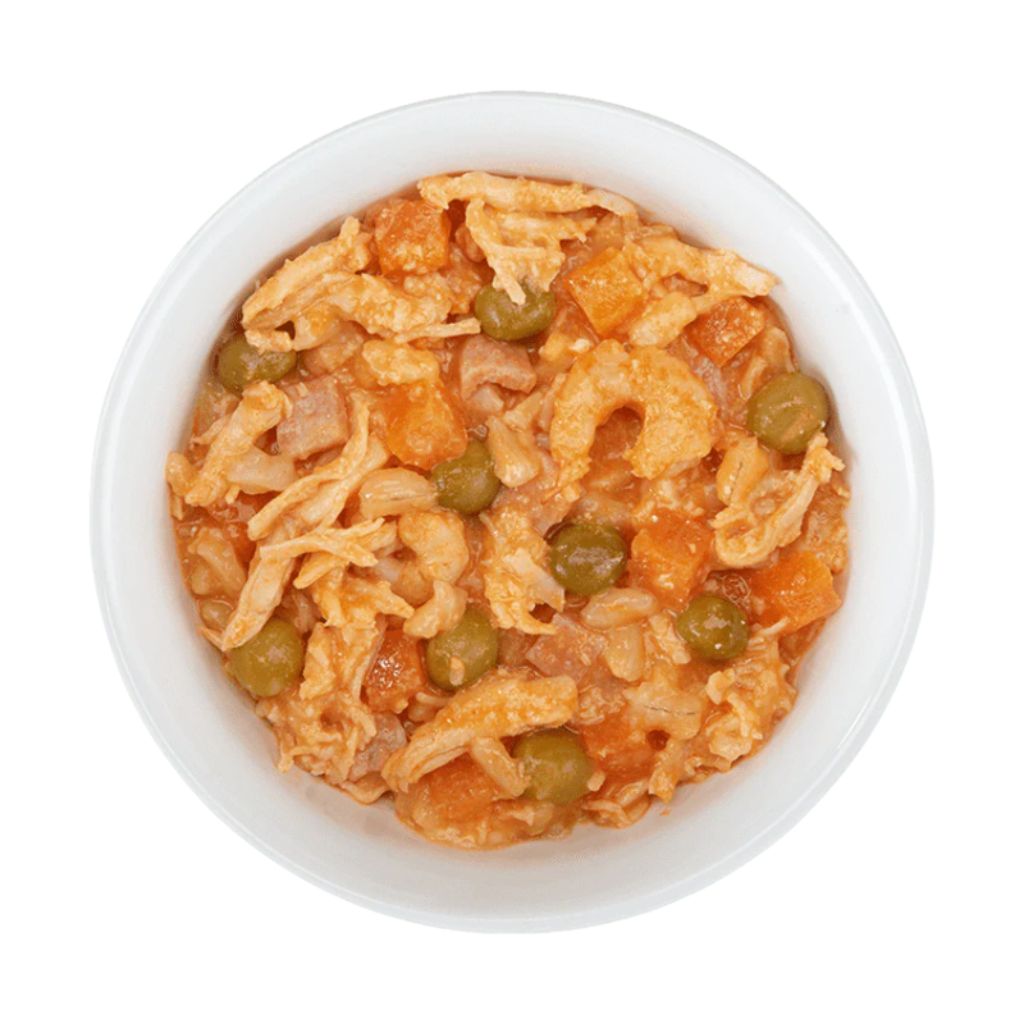 Schesir Taste The World Dog Wet Food – Chicken with Paella, 150g Can