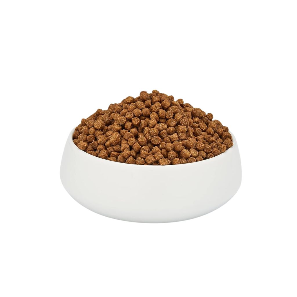 Schesir Cat Dry Food Maintenance with Chicken – Adult 1.5kg