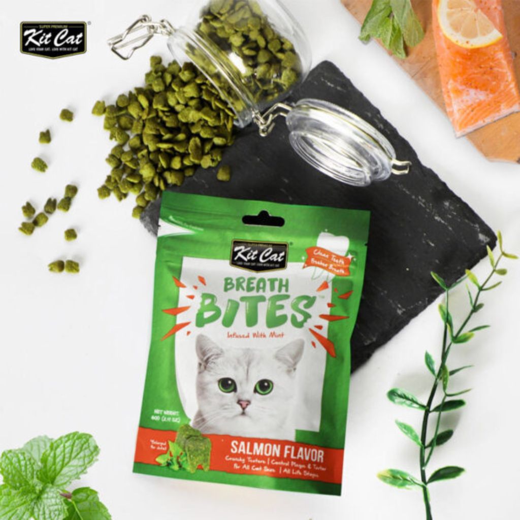 Kit Cat Breath Bites Salmon Flavor 60g – Dental Treats for Cats Fresh Breath