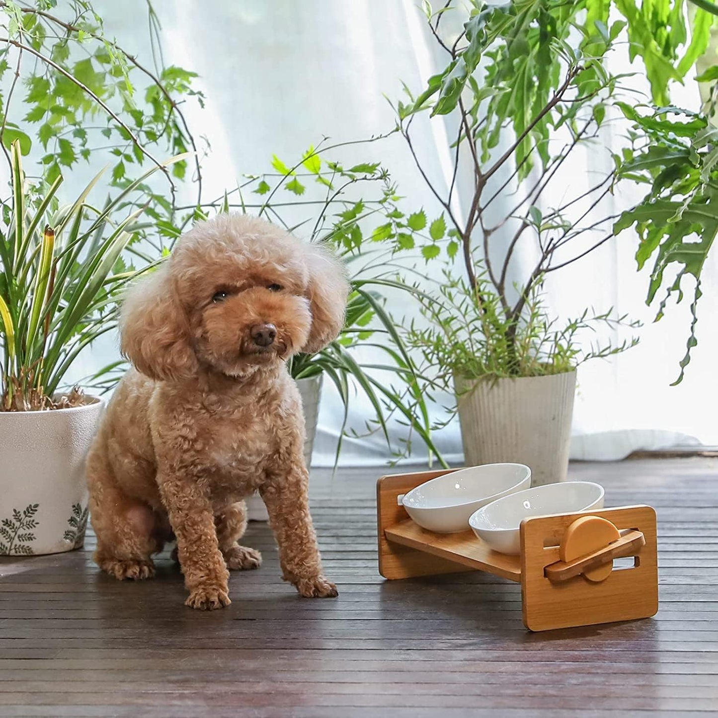 Elevated Ceramic Pet Bowl – Adjustable Wooden Stand, 4-Level Tilt for Cats & Small Dogs