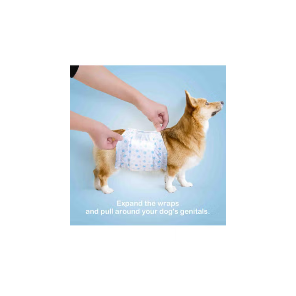 Male Dog Diapers – Disposable, Leak-Proof Belly Bands