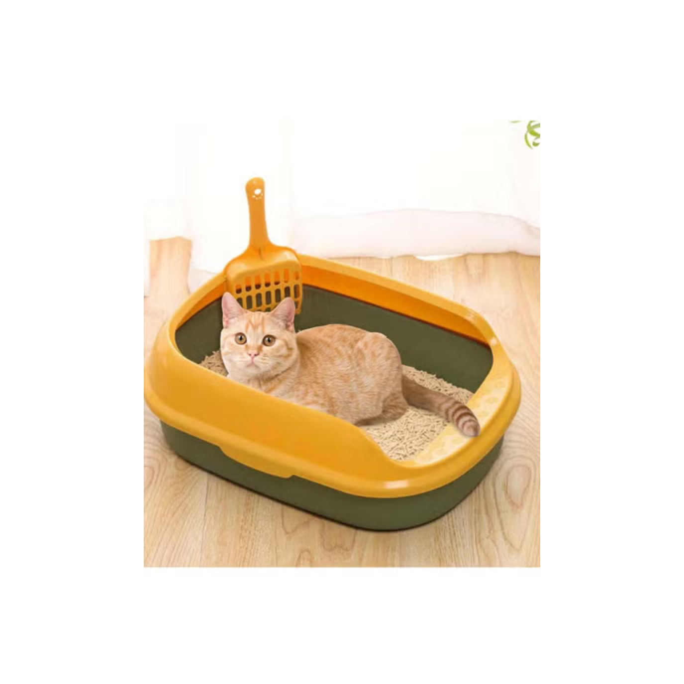 Cat Litter Box Pet