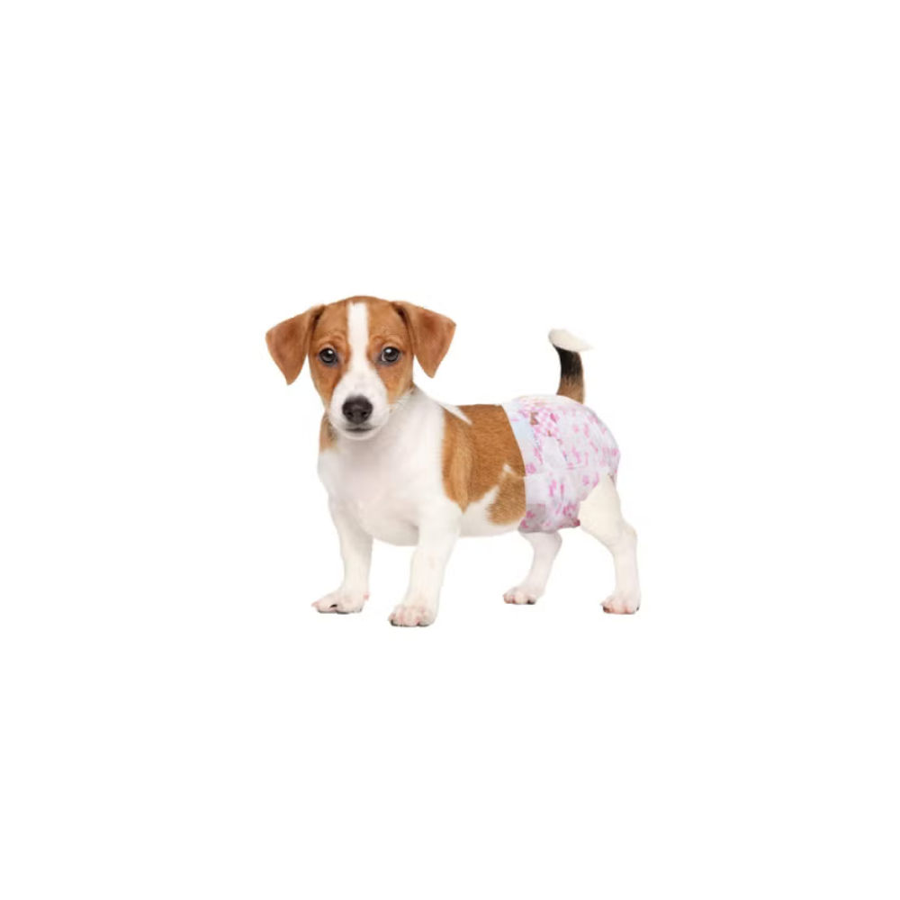 Petto Female Dog Diapers – 10pcs, Disposable & Leak-Proof
