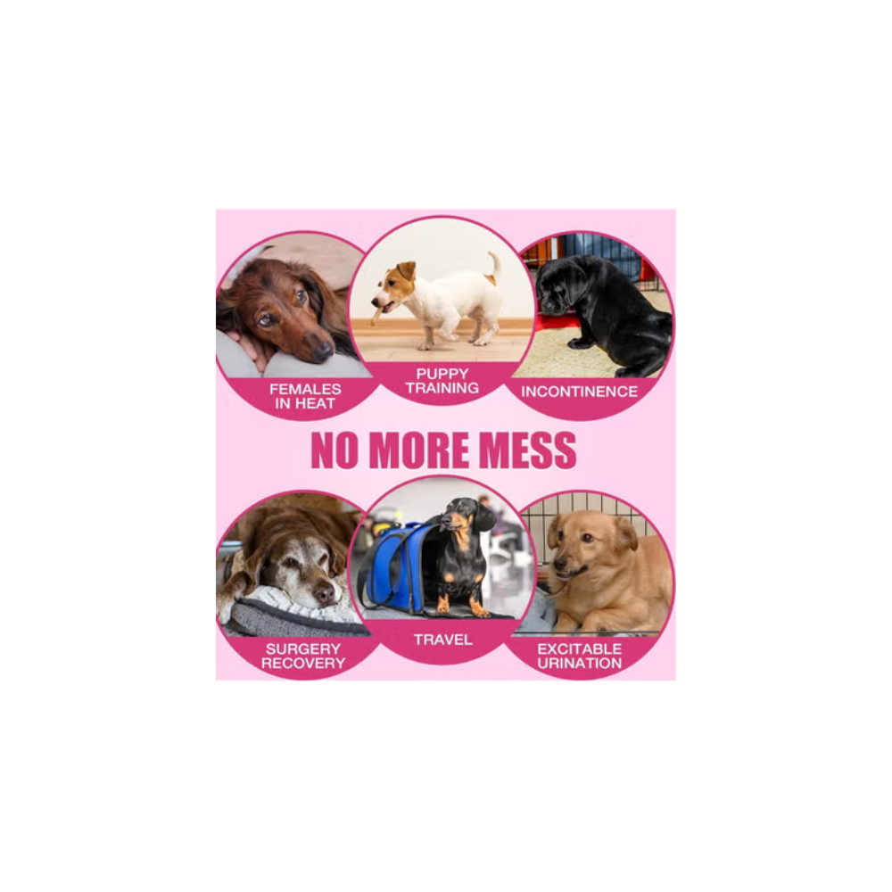 Petto Female Dog Diapers – 10pcs, Disposable & Leak-Proof