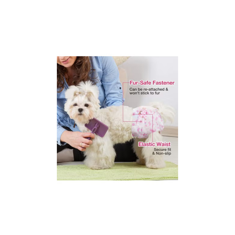 Petto Female Dog Diapers – 10pcs, Disposable & Leak-Proof
