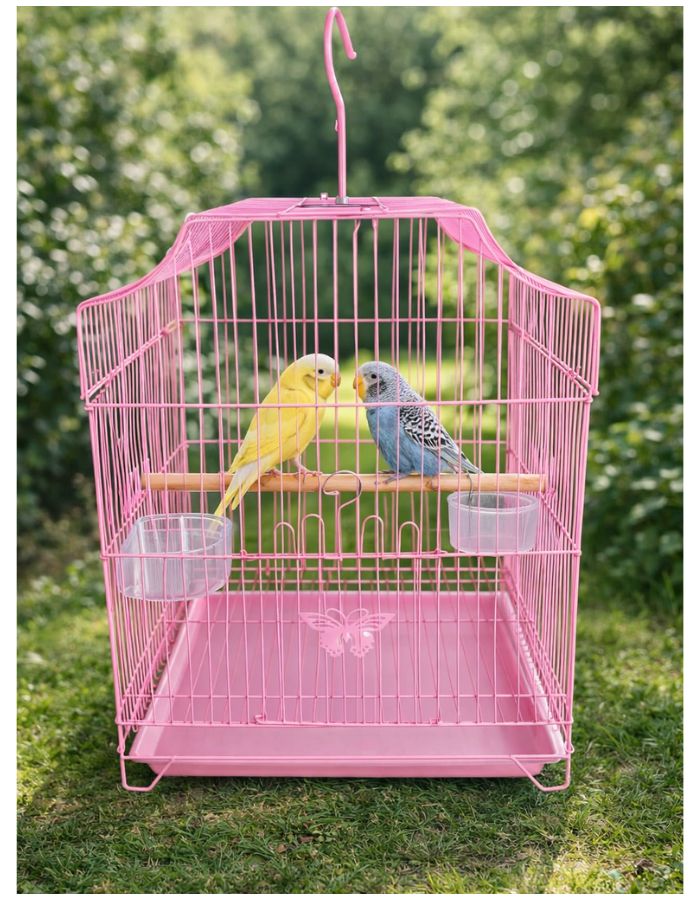Metal Bird Cage for Small Birds with Perch & Feeding Cups, Hanging Design, 33 × 31 × 46 cm (Green / Blue / Pink)