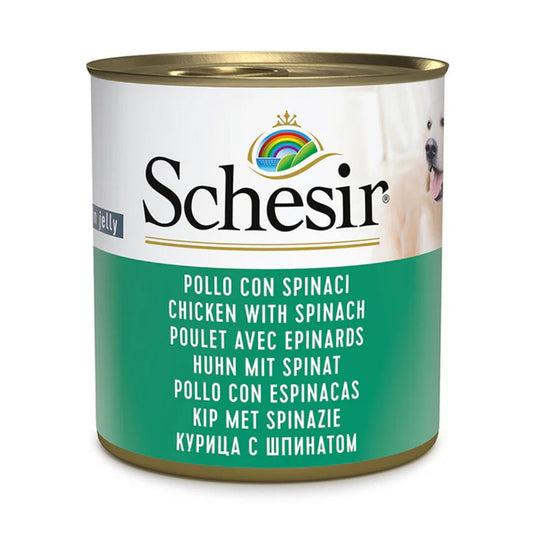 Schesir Wet Dog Food in Jelly – Chicken & Spinach, 285g *16PC | Wholesome, Natural Ingredients