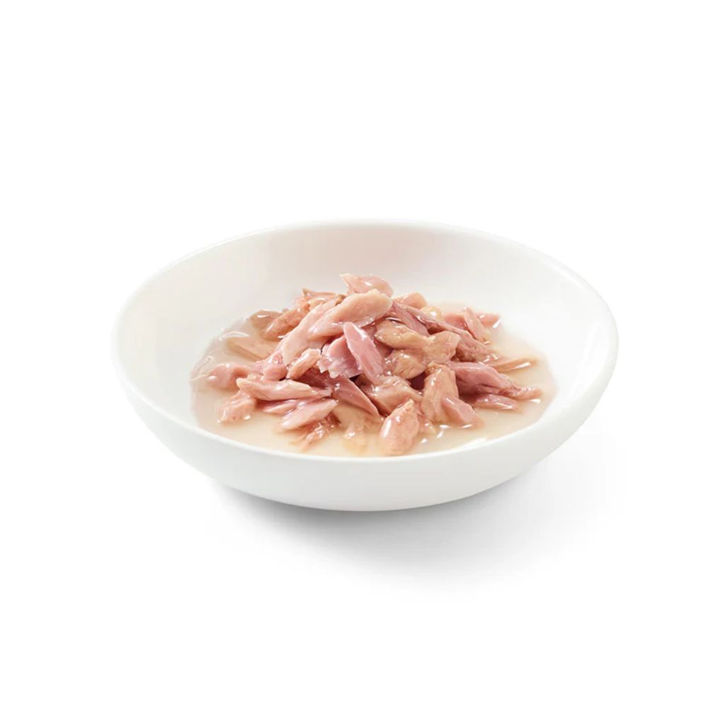 Schesir Cat Wet Food Tuna in Broth 70g Can – 14 Pack