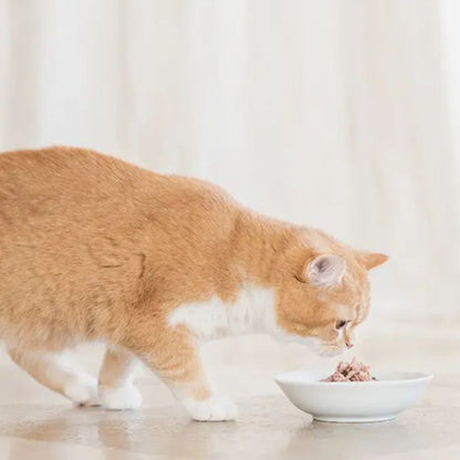 Schesir Bio Sterilized Cat Wet Food Beef & Chicken with Carrots 85g – 16 Pack
