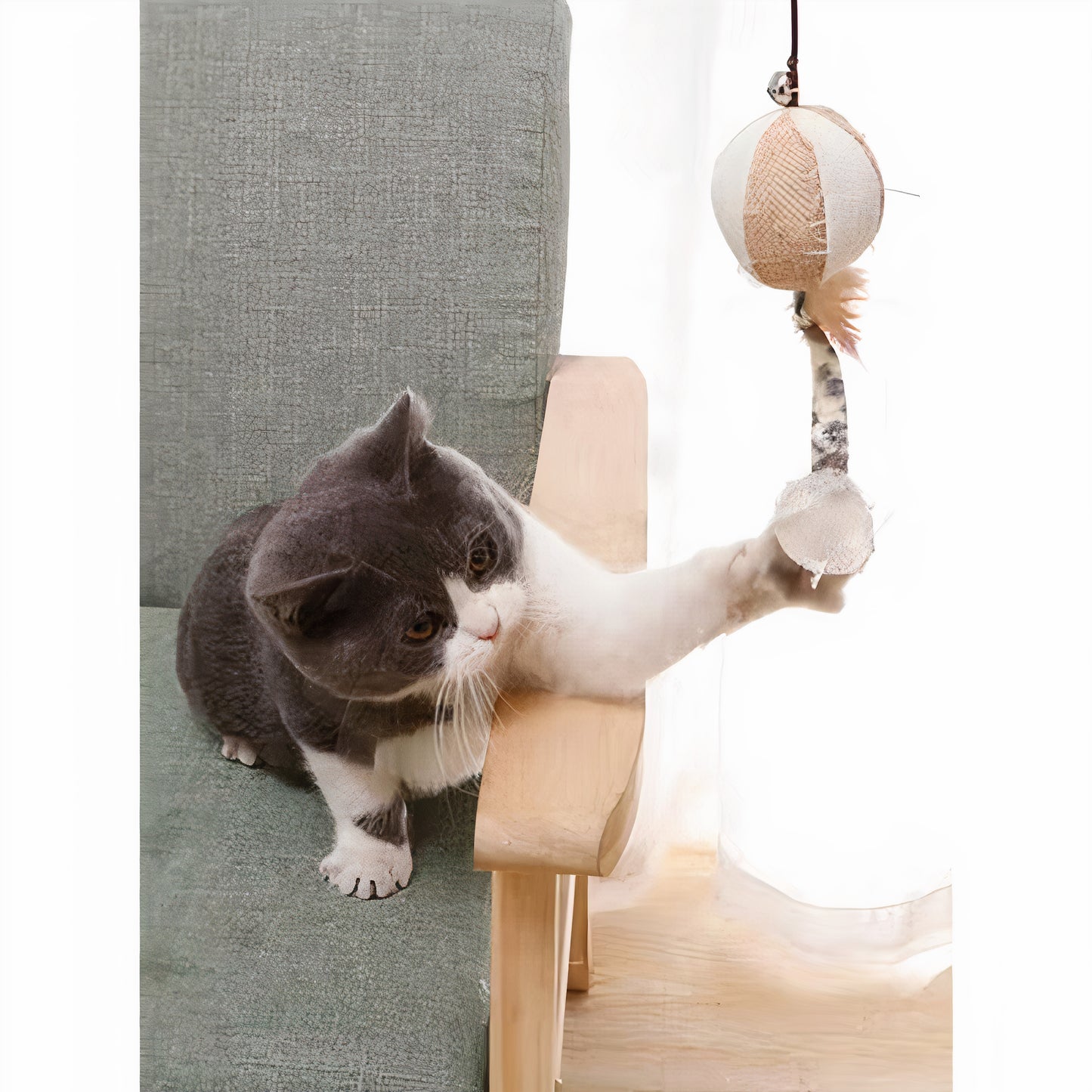 Interactive Cat Wand Set – Feathers & Fun for Active Playtime