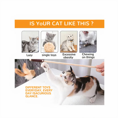 Interactive Cat Wand Set – Feathers & Fun for Active Playtime