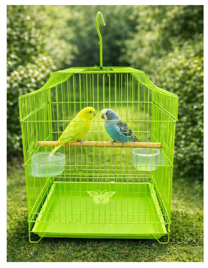 Metal Bird Cage for Small Birds with Perch & Feeding Cups, Hanging Design, 33 × 31 × 46 cm (Green / Blue / Pink)