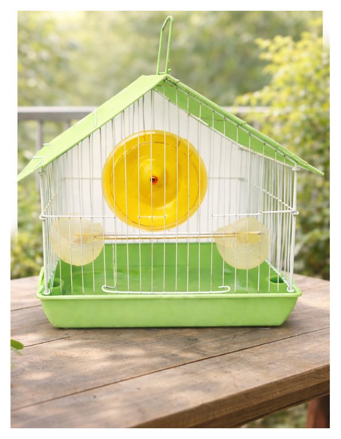 Hamster & Bird Cage 22×16×19 cm | Compact Metal Pet Cage